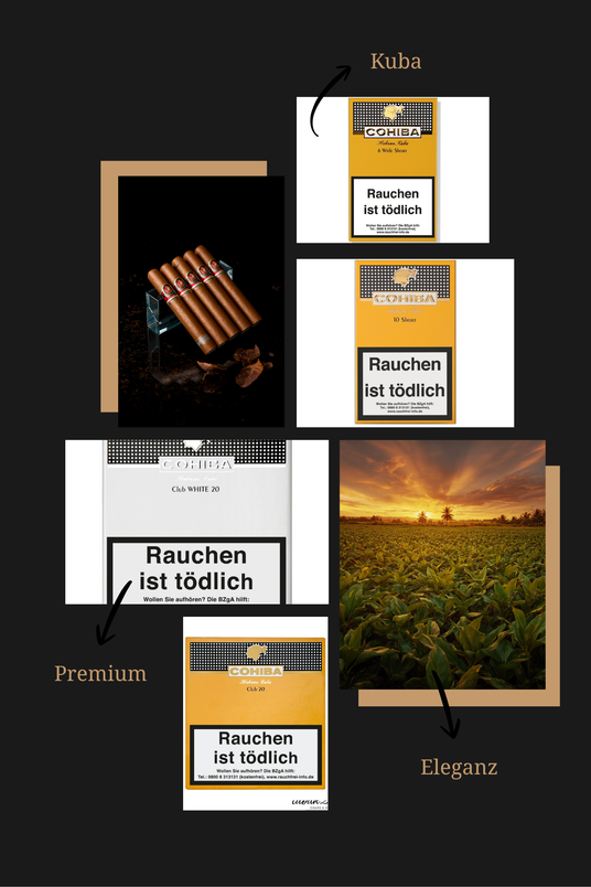 Cohiba Zigarillos