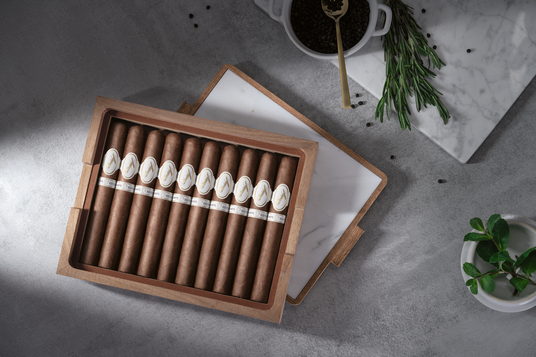 Davidoff Chefs Edition 2025 Toro Kiste offen mit zehn Zigarren