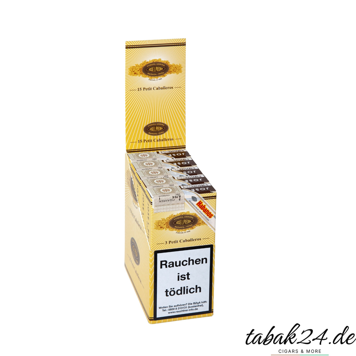 Jose L. Piedra Petit Caballeros 15er Gebinde mit Etuis