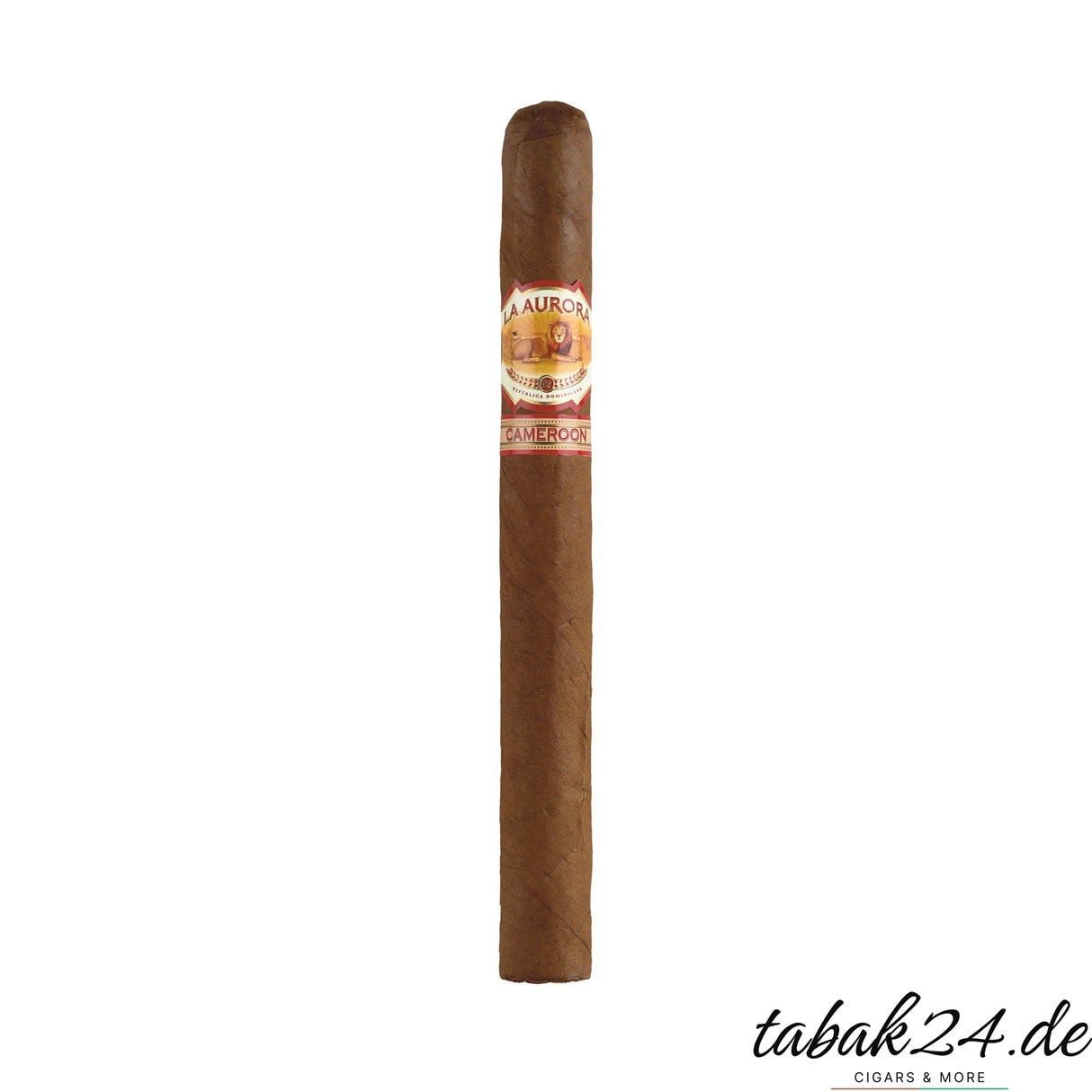 La Aurora 1903 Cameroon Churchill Zigarre mit Kamerun-Deckblatt, Einzelansicht