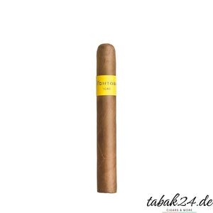 Montosa Amarillo Toro