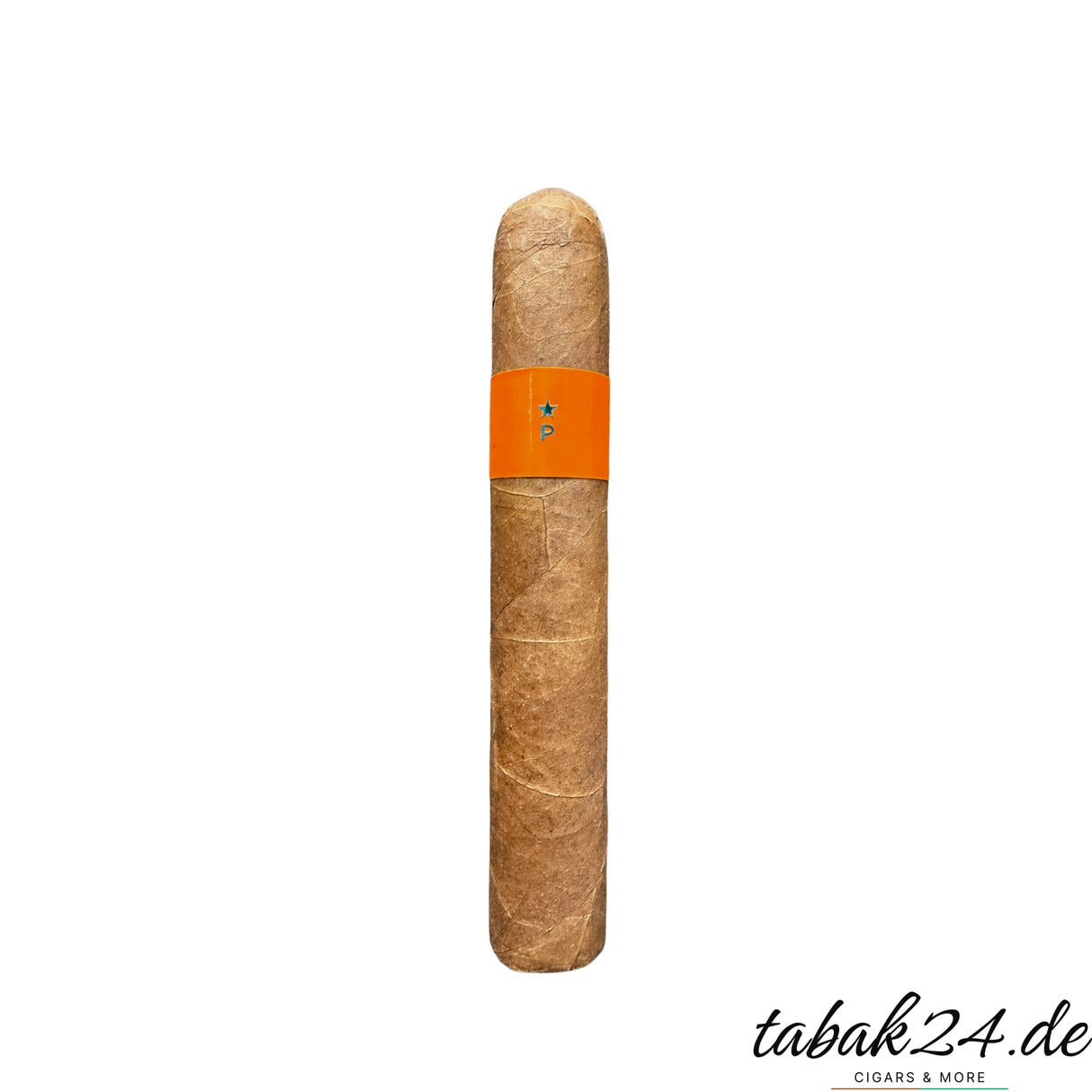 Patoro Balthasar Toro mit orangefarbener Bauchbinde auf weißem Hintergrund