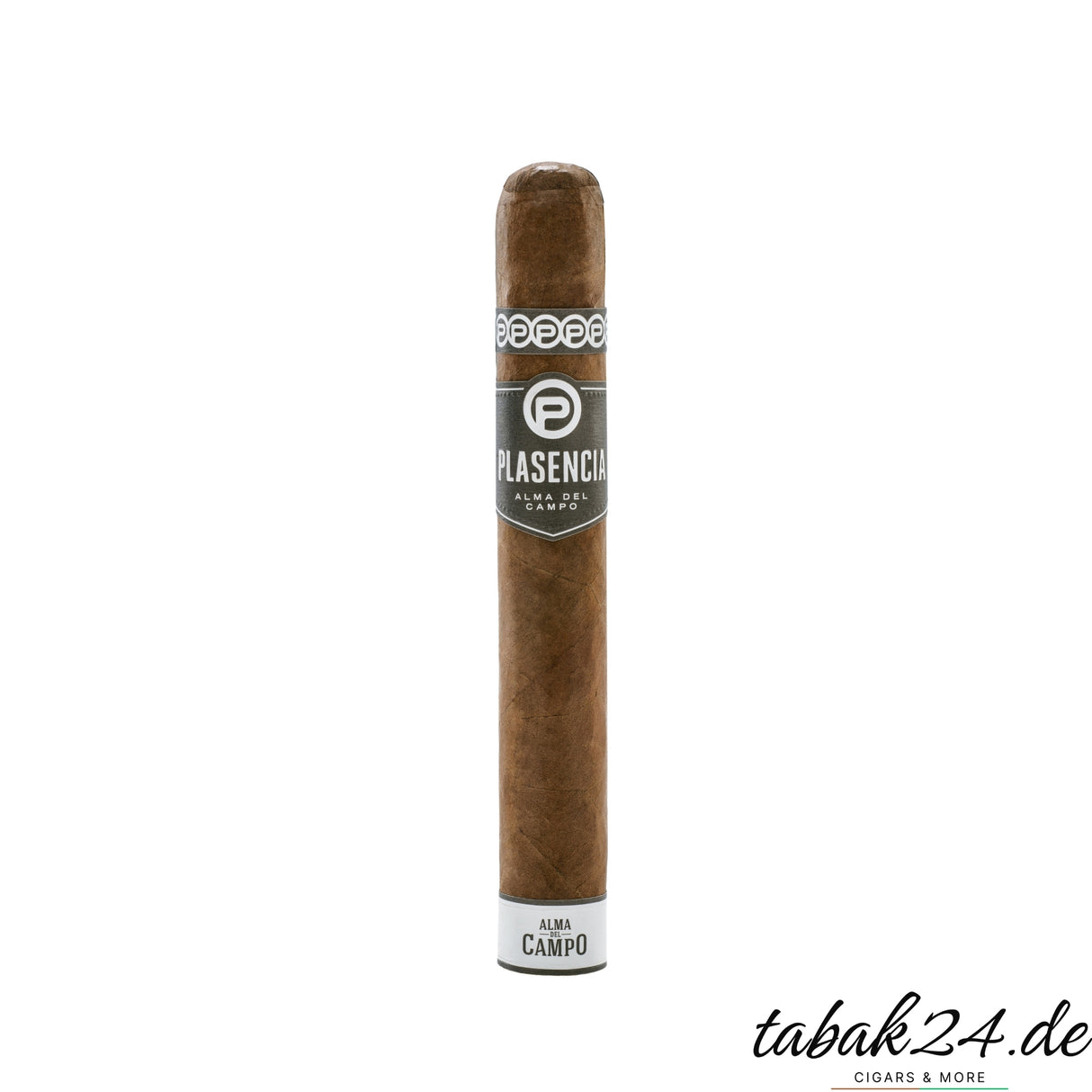 Plasencia Alma del Campo Madroño Gordo-Zigarre freigestellt mit weißem Zigarrenring