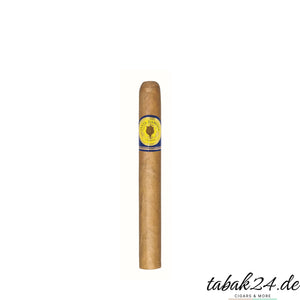 Santa Damiana Corona