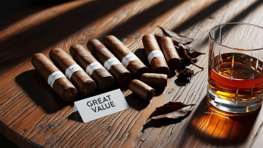 Preis-Leistungs-Sieger