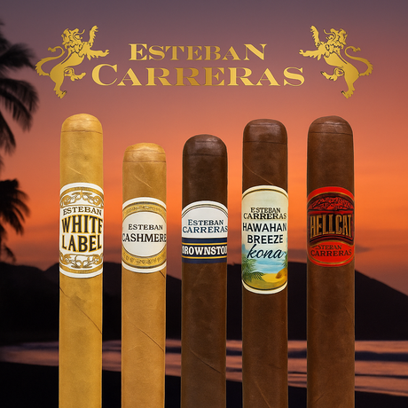 Fünf Esteban Carreras Zigarren vor tropischem Sonnenuntergang mit Logo