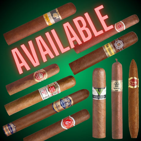 ubanische Zigarren verschiedener Marken mit Available-Schriftzug