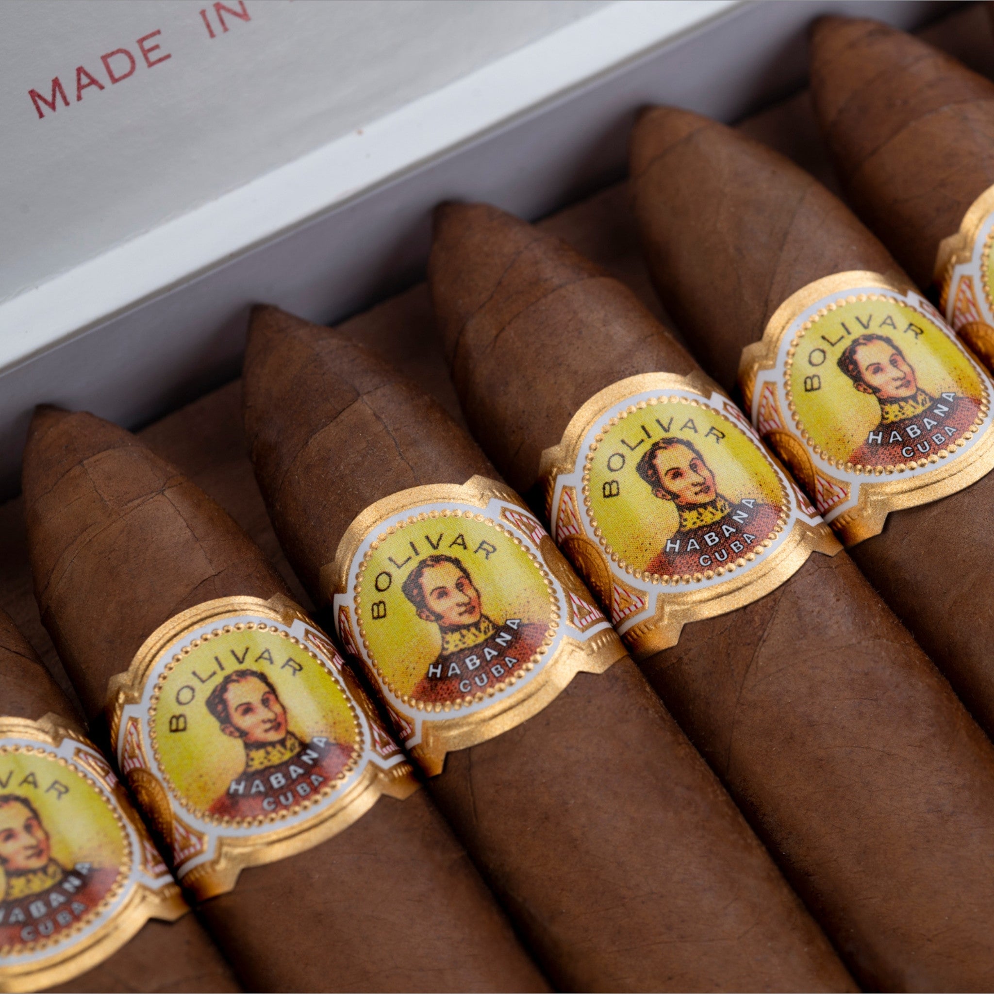 Nahaufnahme von Bolivar Belicosos Finos Zigarren mit goldgelbem Zigarrenring in Zigarrenkiste