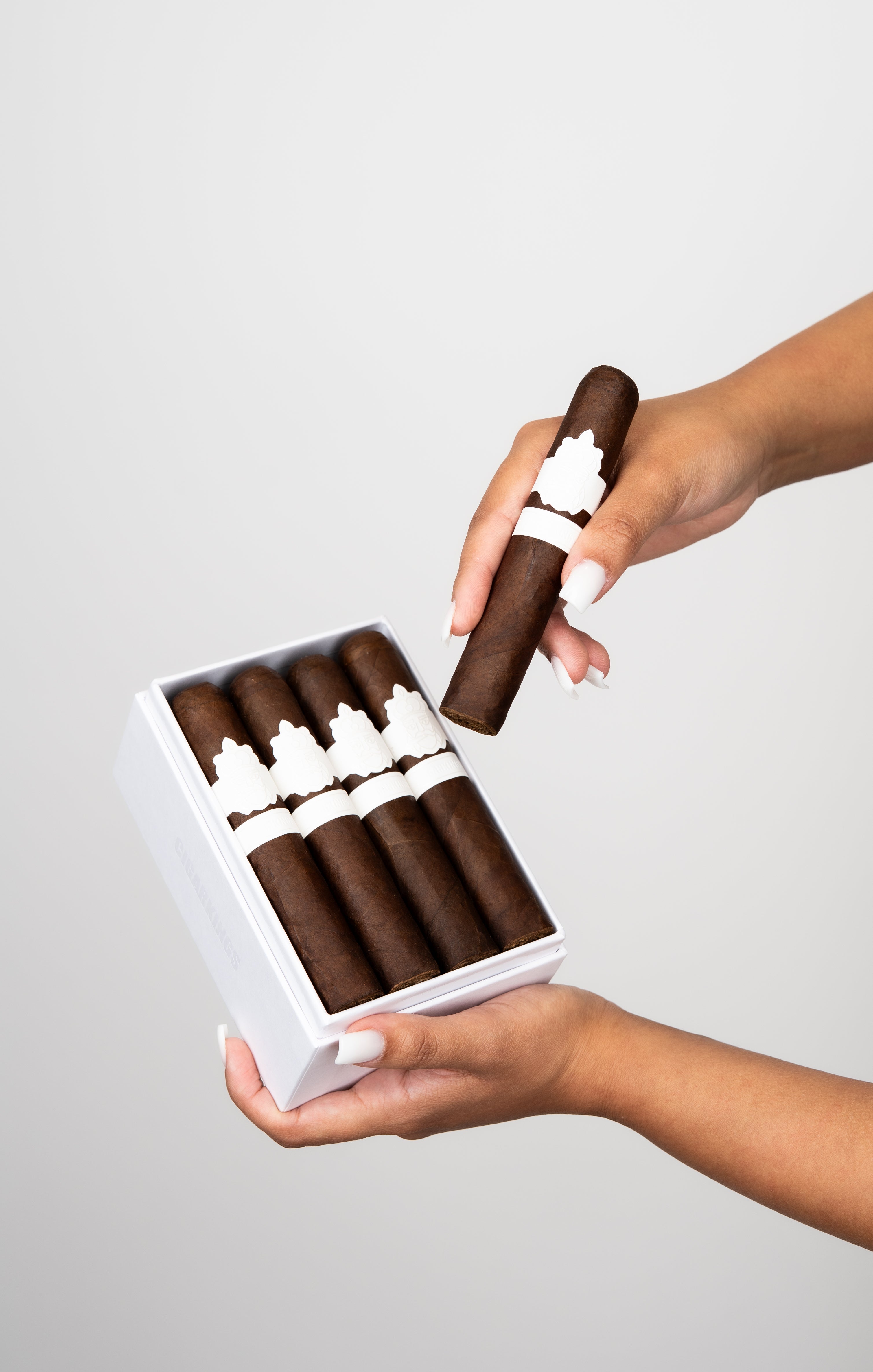 CigarKings Wide White Zigarre – Premium Montesco Zigarre aus Nicaragua mit Jalapa Maduro Deckblatt