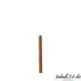 Einzelner Davidoff Club Cigarillo auf weißem Hintergrund