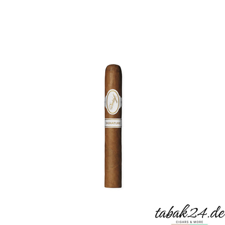 Davidoff Signature Petit Corona Zigarre einzeln vor weißem Hintergrund