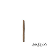 Einzelner Davidoff Mini Cigarillo Nicaragua auf weißem Hintergrund