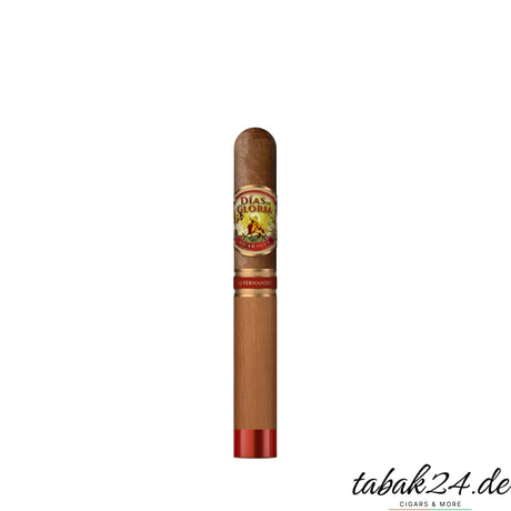 Einzelne Dias de Gloria Robusto mit Zedernholz-Hülle und rotem Fußband