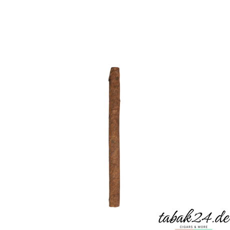 Fabiolas Mini