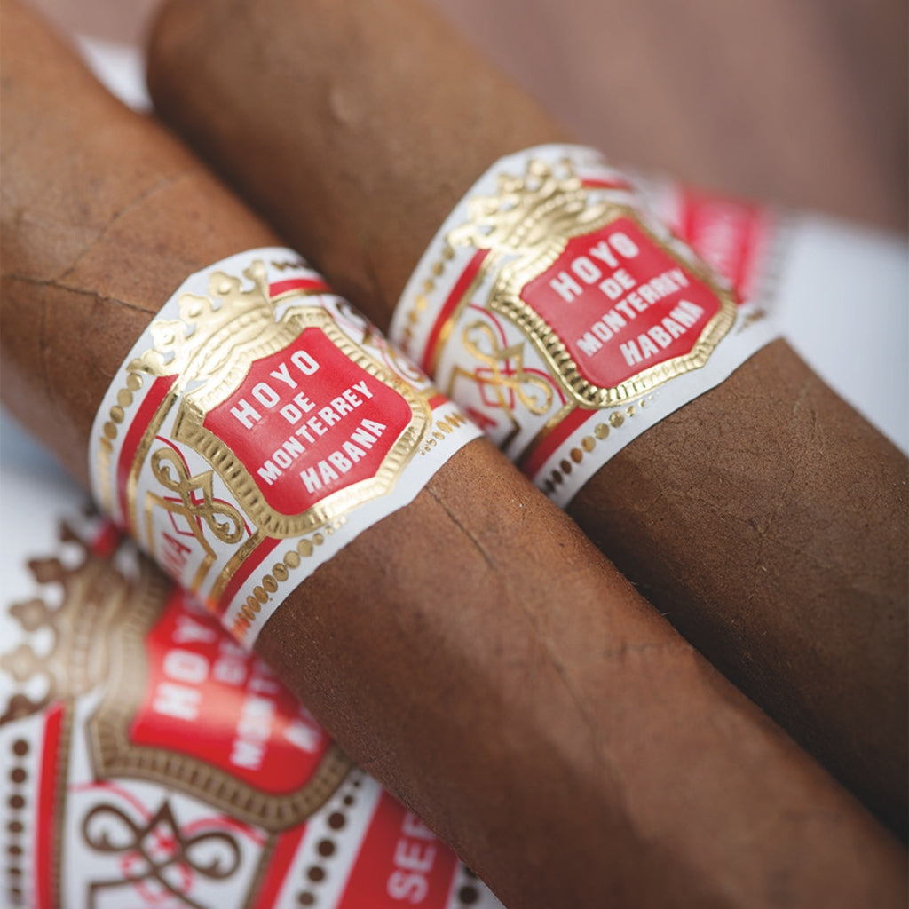 Nahaufnahme Hoyo de Monterrey Epicure No. 2 Zigarren mit roten Bauchbinden