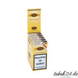 Jose L. Piedra Petit Caballeros 15er Gebinde mit Etuis