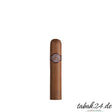 Kubanische Petit Robusto mit dunklem Deckblatt und typischem Montecristo-Ring