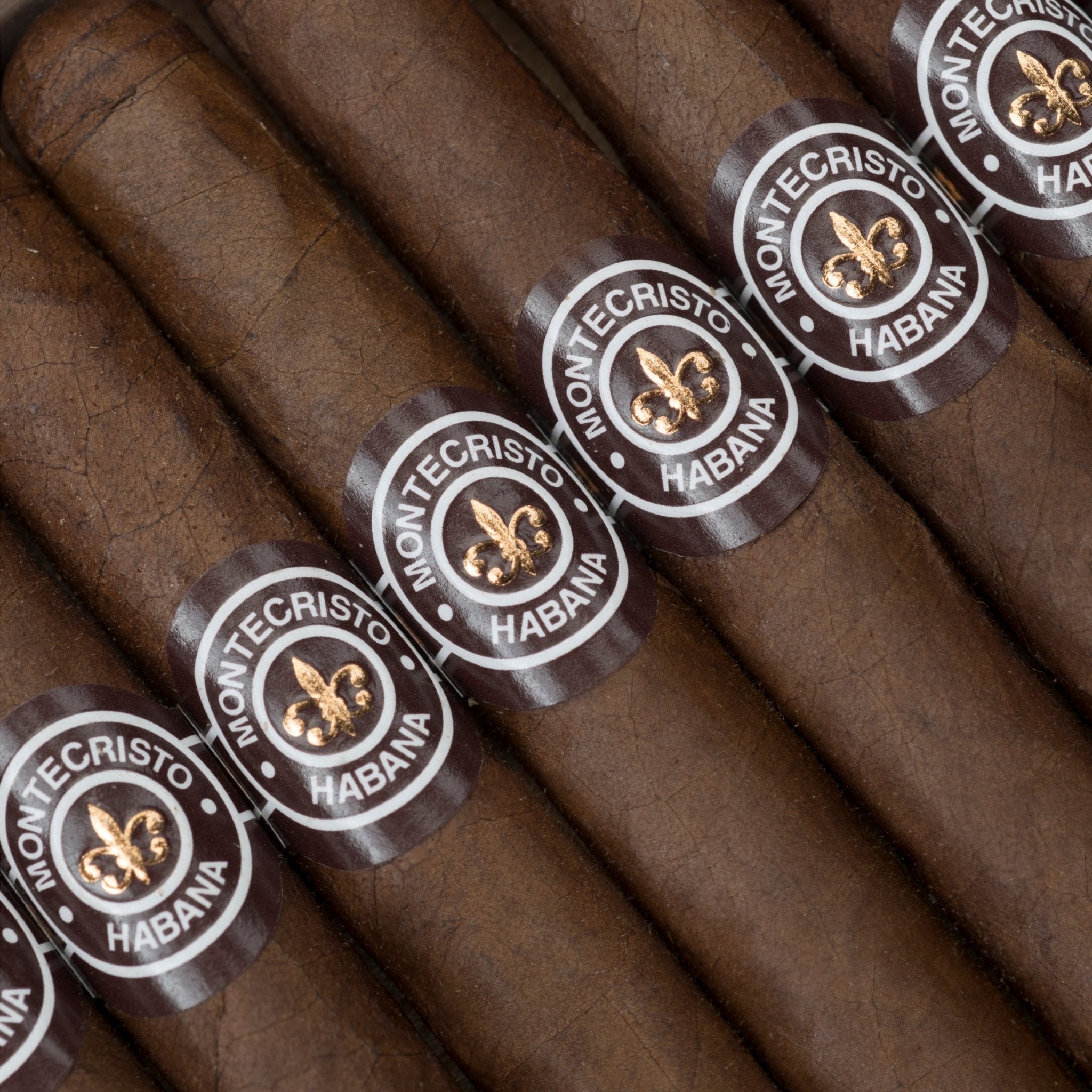 Montecristo Joyita – Zigarren in der Kiste