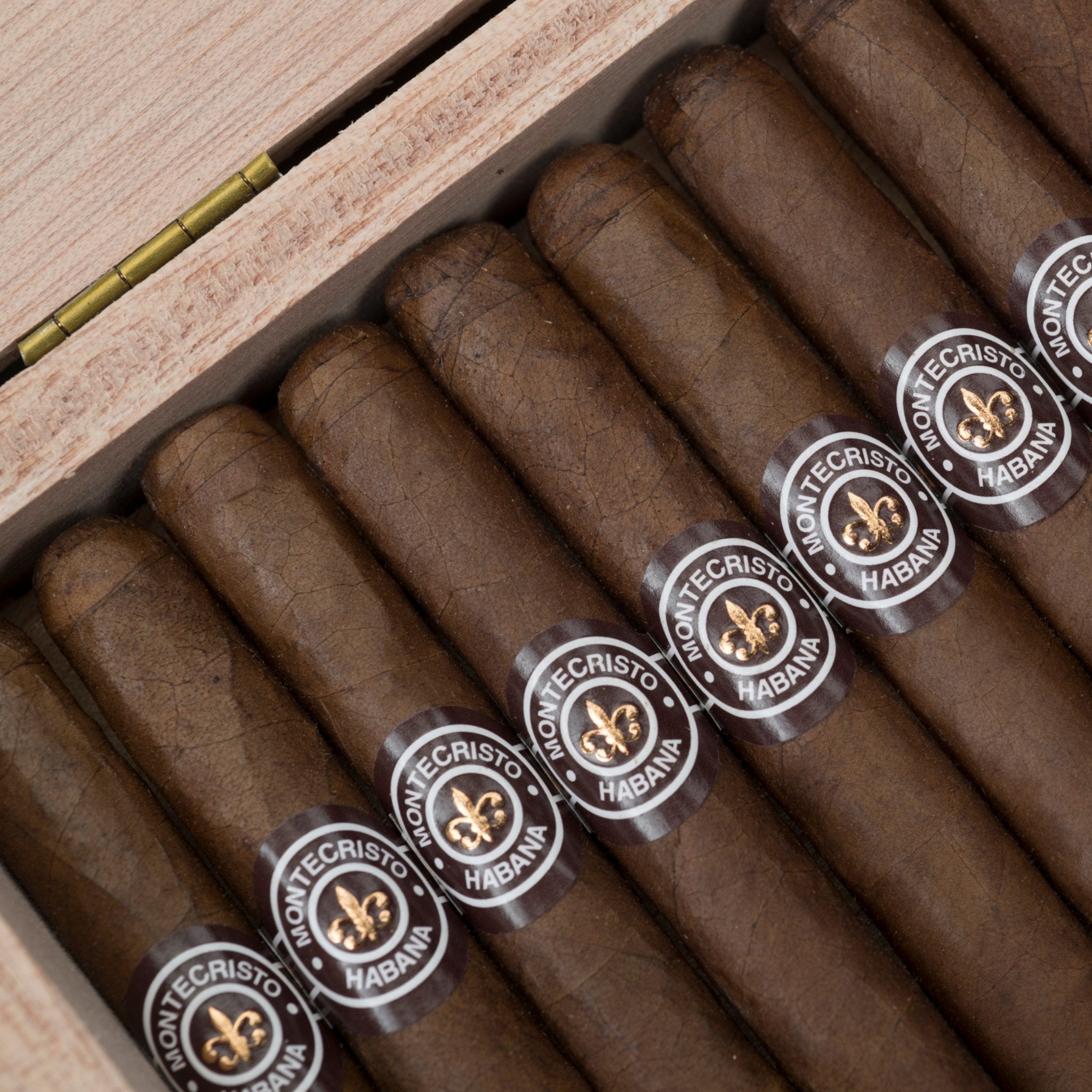 Montecristo Joyita – Zigarren in der geöffneten Kiste