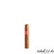 Partagás Serie D No. 5 Petit Robusto Zigarre aus Kuba
