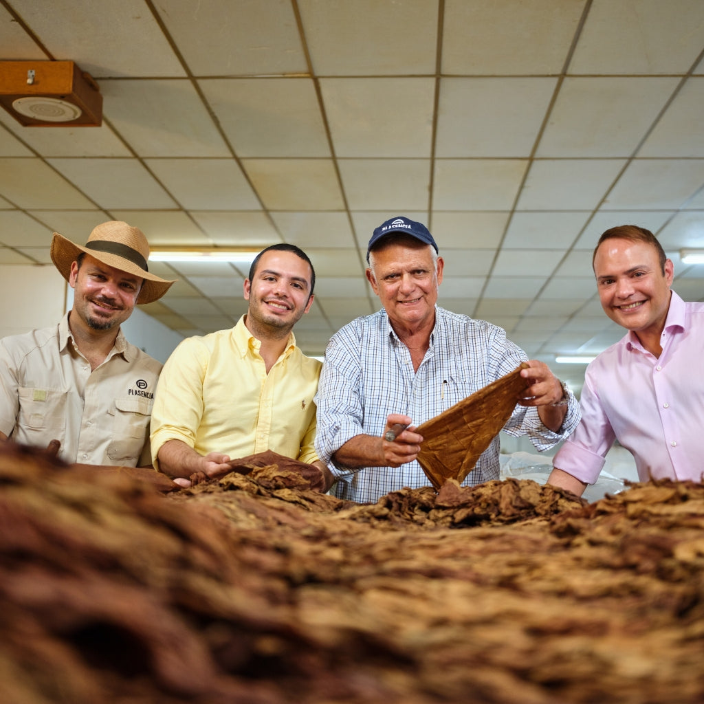 Plasencia Team sortiert und prüft fermentierte Tabakblätter im Lager