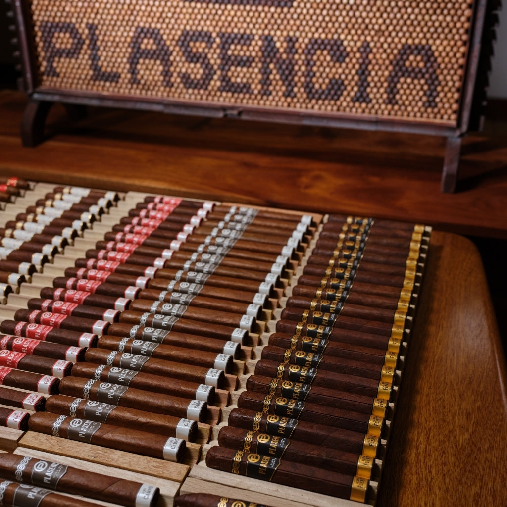 Plasencia Zigarren Auswahl im Humidor übersichtlich präsentiert in Reihen
