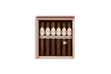 CigarKings Robusto Sun Grown Zigarre Nahaufnahme – hochwertige Longfiller Zigarre aus Nicaragua