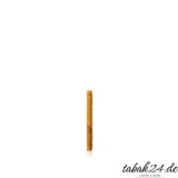 Skel Ton Connecticut Mini Zigarillo einzeln vor weißem Hintergrund