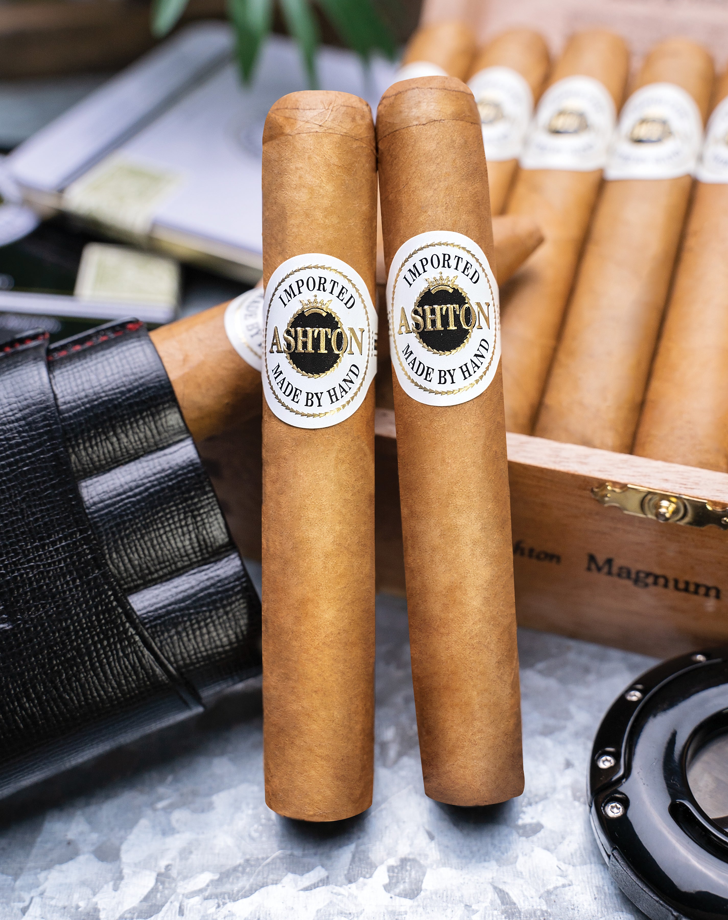 Ashton Classic Churchill – Lifestyle-Foto mit Zigarrenetui