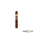 Ashton ESG 21 Year Salute Robusto – Dominikanische Republik Zigarre