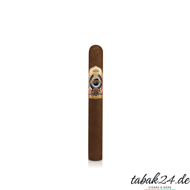 Ashton ESG 23 Year Salute Toro – Dominikanische Republik Zigarre