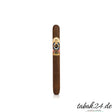 Ashton ESG 24 Year Salute Perfecto – Dominikanische Republik Zigarre
