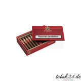 AVO Expresivo Robusto 20er Kiste – geöffnet mit Zigarren