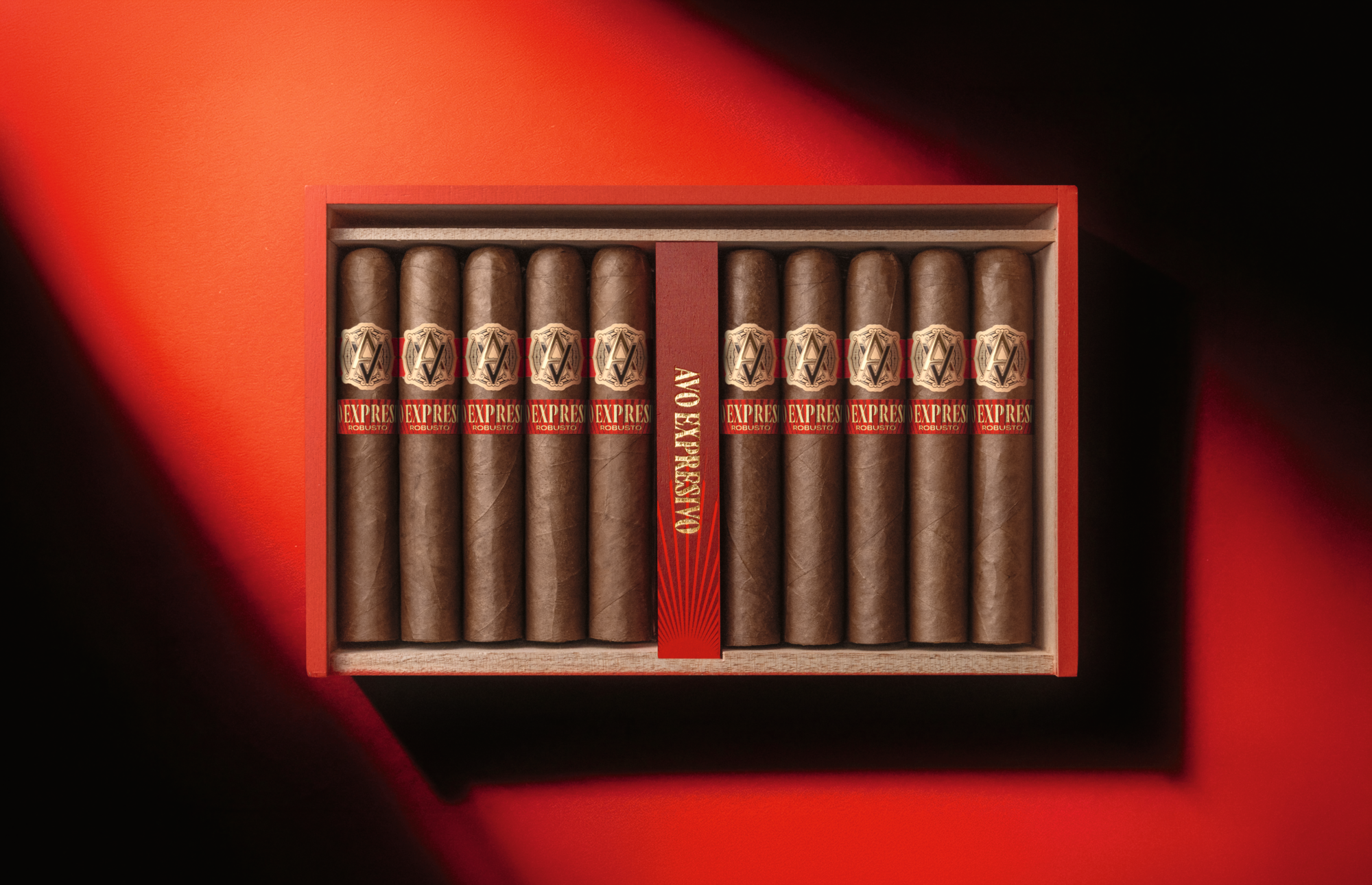 AVO Expresivo Robusto 20er Kiste – geöffnet, Draufsicht