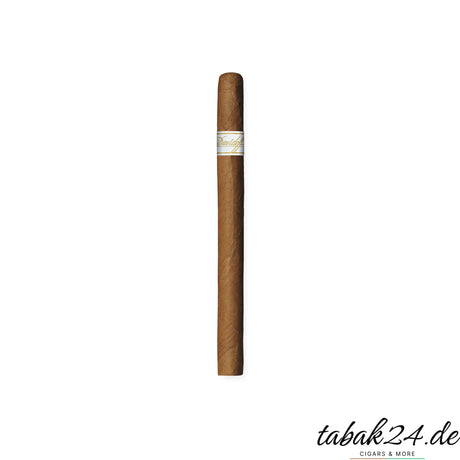 Davidoff Signature Ambassadrice Zigarre im schlanken Panetela-Format auf Weißem Hintergrund