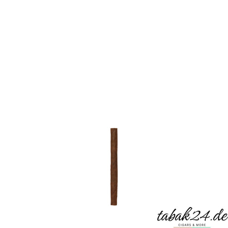 Sonderangebot Cuban Filler Mini – einzelnes Cigarillo