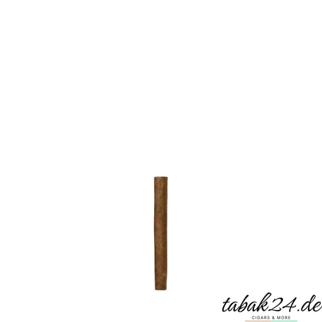 Sonderangebot Extra Sumatra – einzelnes Cigarillo