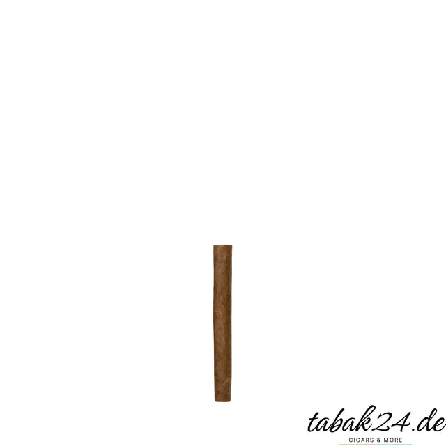 Sonderangebot Extra Sumatra – einzelnes Cigarillo