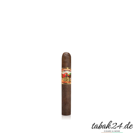 Paradiso Classico Robusto – Zigarre aus Nicaragua