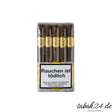 Rocky Patel Seed to Smoke Classic Churchill – 10er Bundle Honduras Zigarre