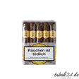 Rocky Patel Seed to Smoke Classic Sixty – 10er Bundle Honduras Zigarre