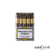 Rocky Patel Seed to Smoke Classic Toro – 10er Bundle Honduras Zigarre
