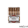 Rocky Patel Seed to Smoke Shade Sixty – 10er Bundle Honduras Zigarre